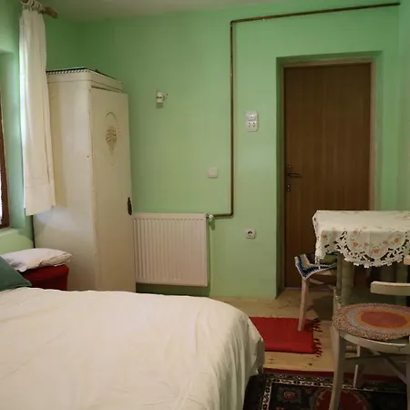 Roka - Tanya Supljak