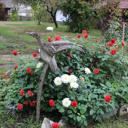 Roka - Tanya * Supljak