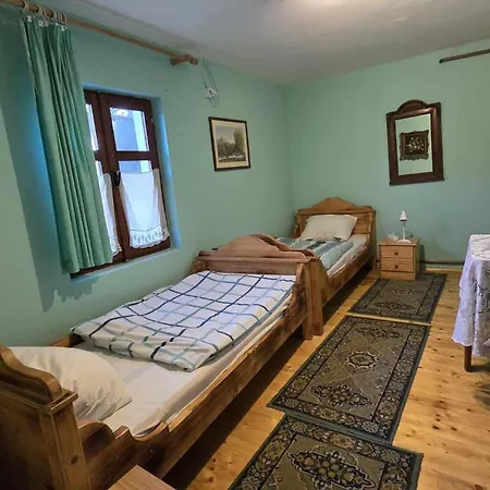 Roka - Tanya Supljak