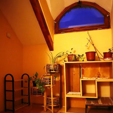 Vakantieboerderij Roka - Tanya Supljak