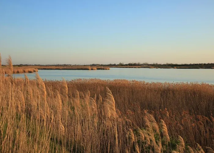Roka - Tanya Κατάλυμα σε φάρμα *