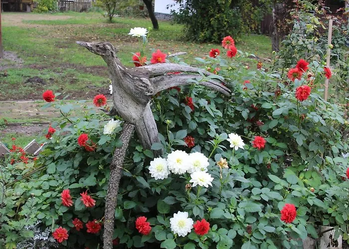 Roka - Tanya * Supljak