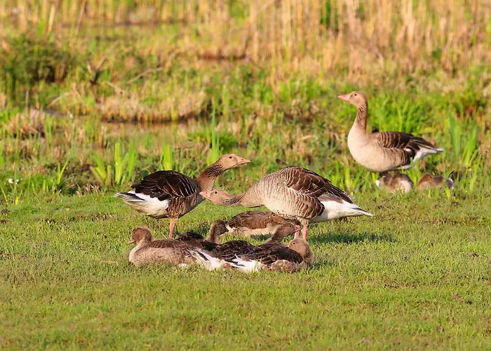 Κατάλυμα σε φάρμα Roka - Tanya Supljak
