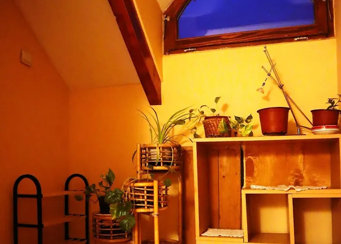 Κατάλυμα σε φάρμα Roka - Tanya Supljak